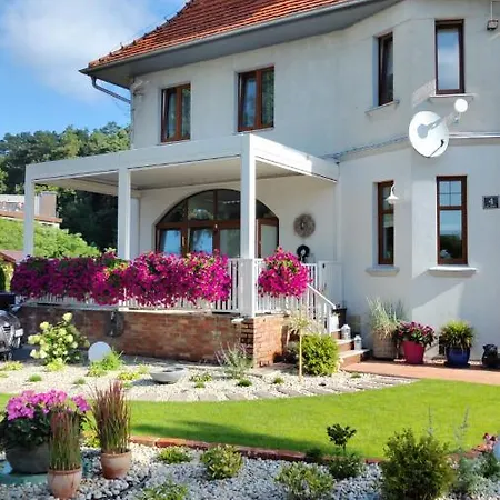 Miod Malina -wiselka